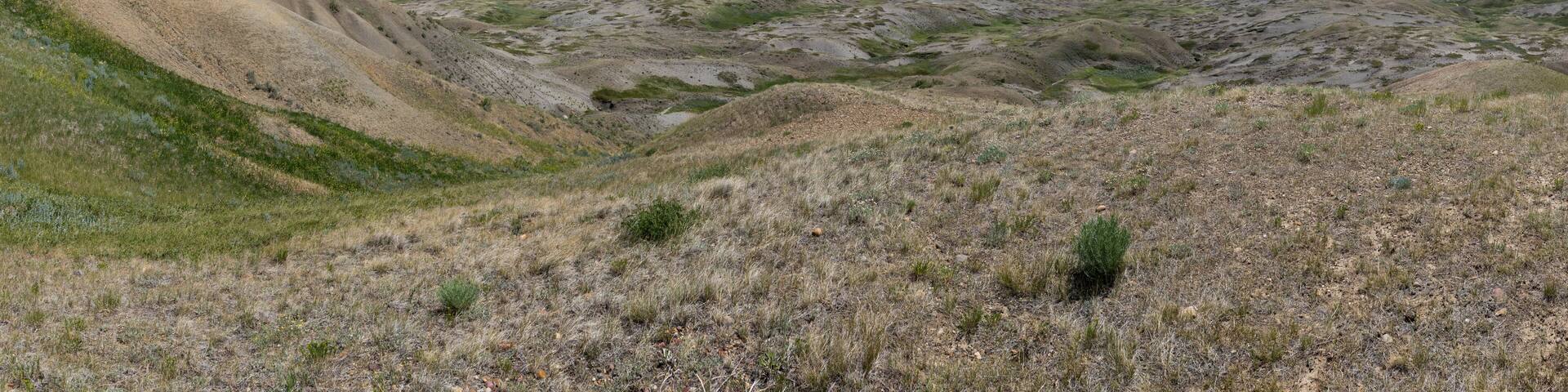 View of Grasslands National Park glacial formations from top of 70 Mile Butte
