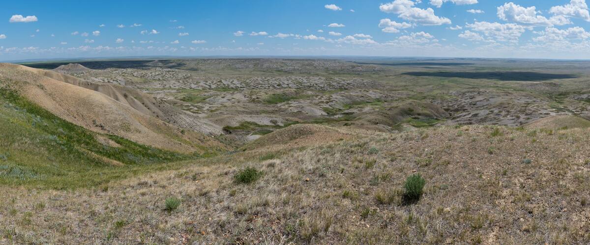 A vast, open landscape with rolling hills and sparse vegetation under a clear blue sky.