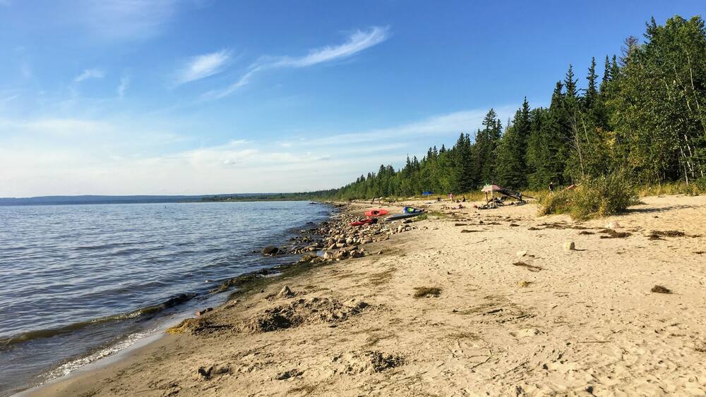A sandy beach with a calm sea, a forested area, and a clear sky.