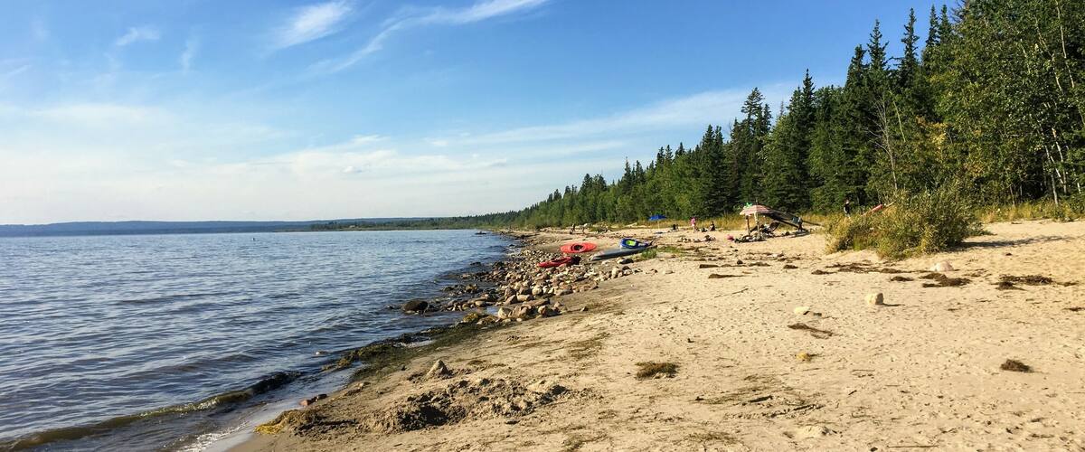 A sandy beach with a calm sea, a forested area, and a clear sky.