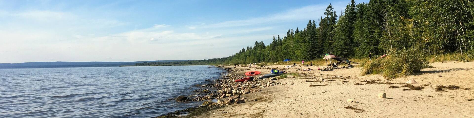 A sandy beach with a calm sea, a forested area, and a clear sky.