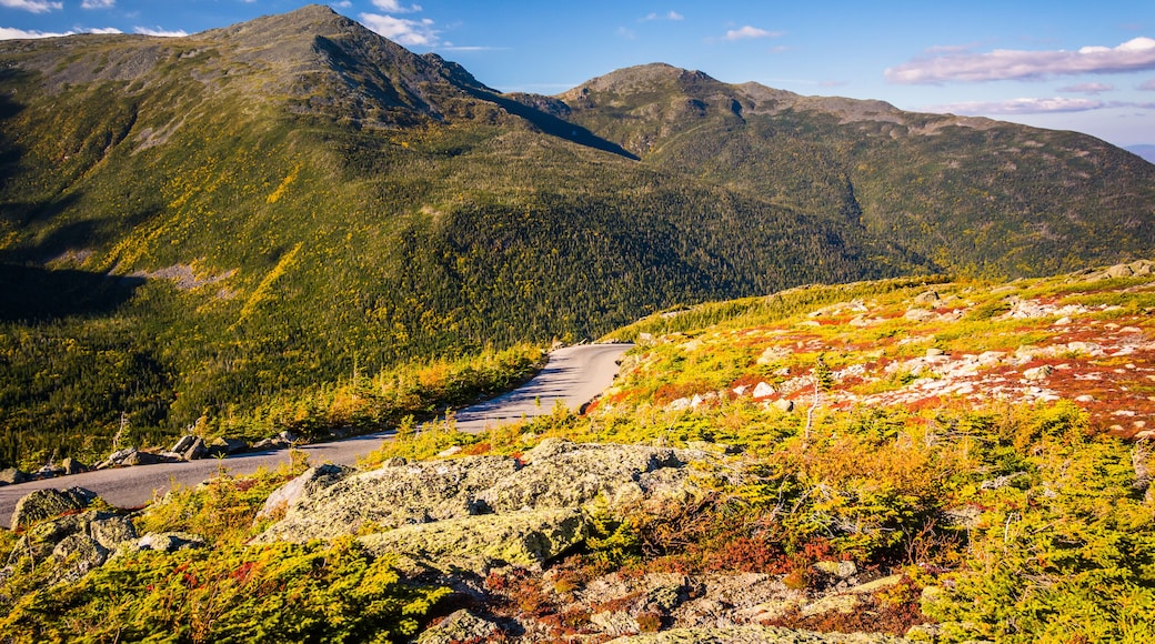 The Mount Washington Auto Road, near Gorham, New Hampshire.