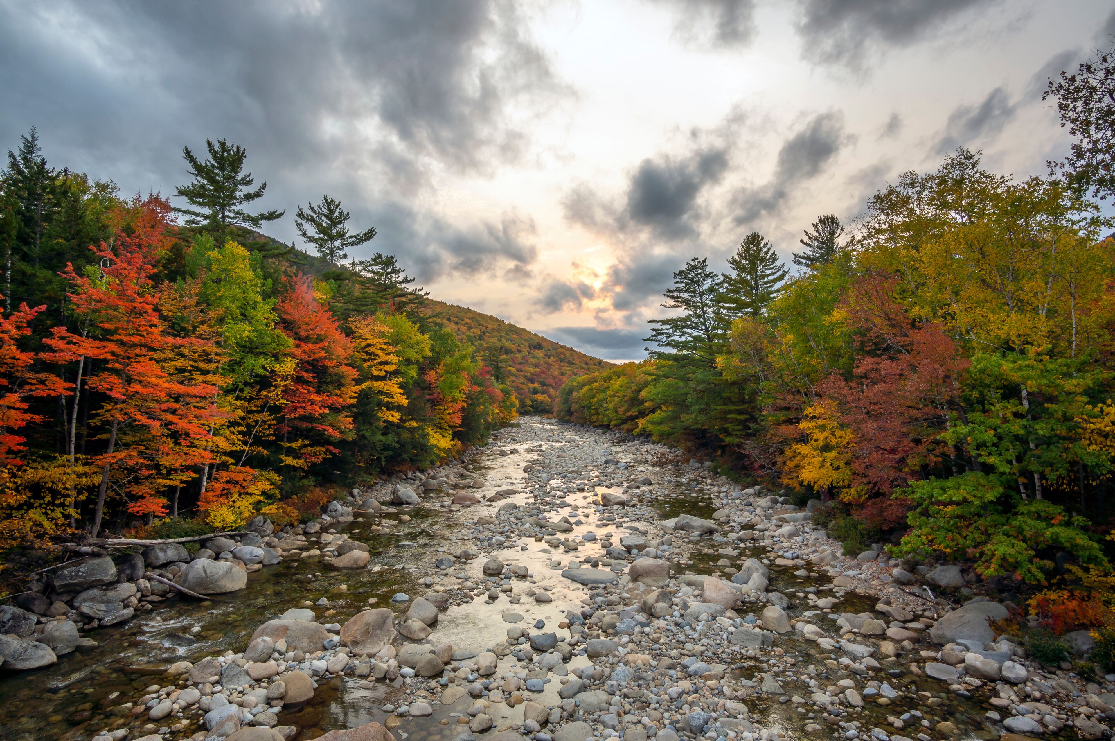 Gorham