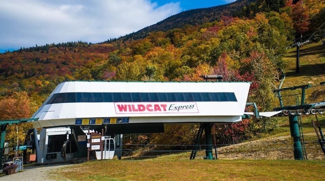 Wildcat Mountain Ski Area is a ski area located on Wildcat Mountain near Jackson, New Hampshire, United States, in the Mount Washington Valley.