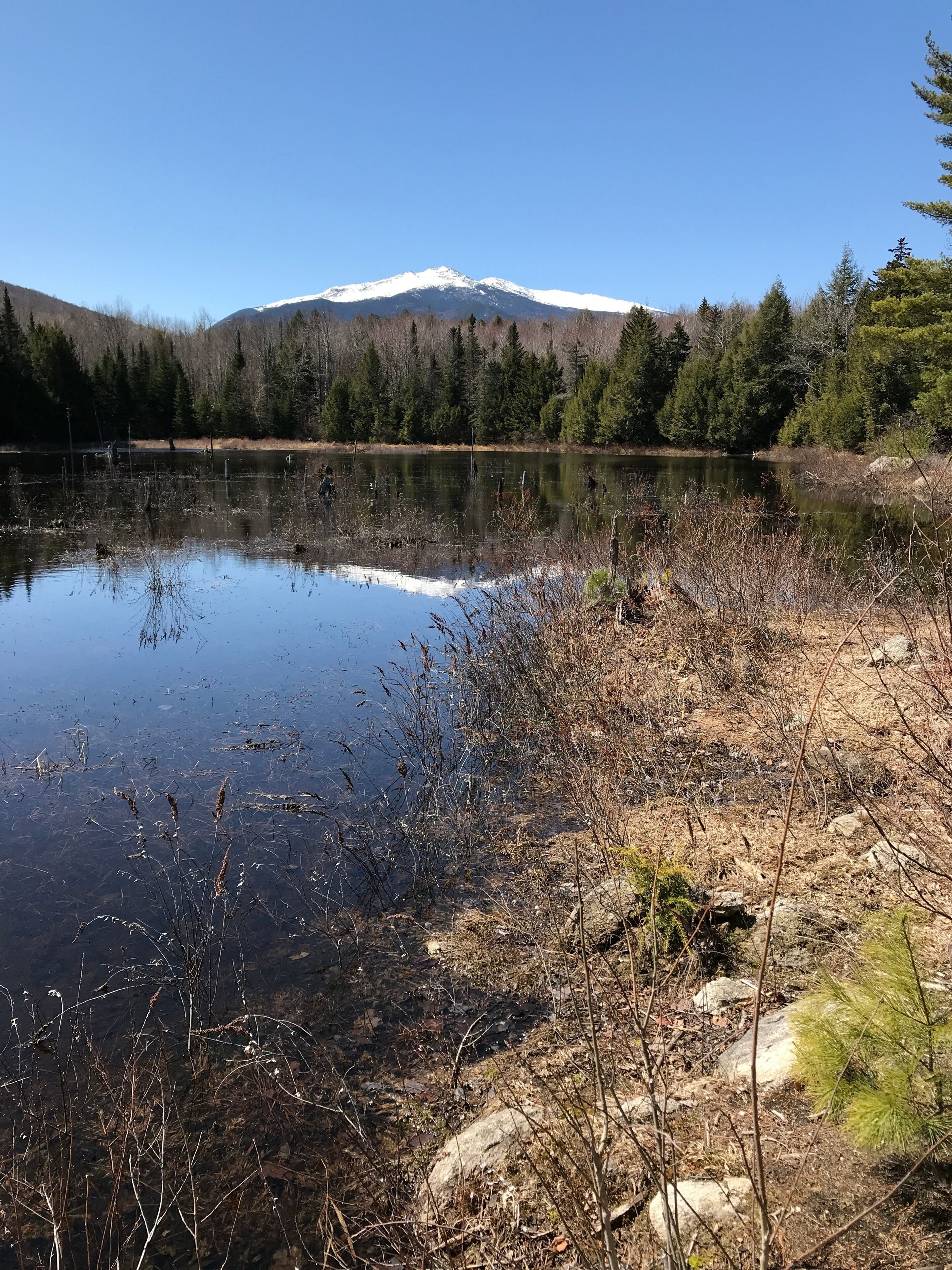The Presidential Range south of Gorham NH
