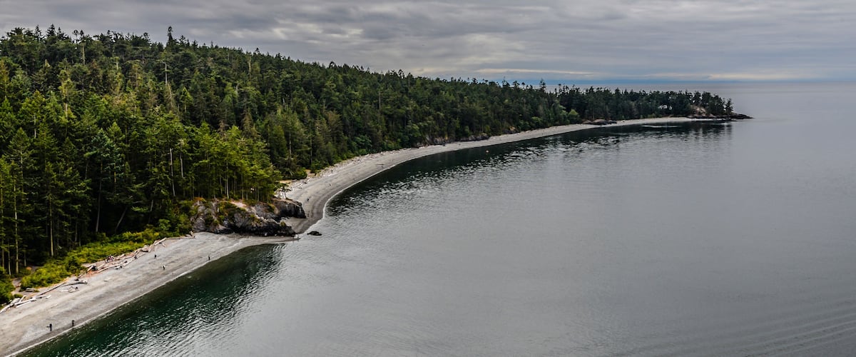 A curving shoreline with a forested island in the distance and calm waters.