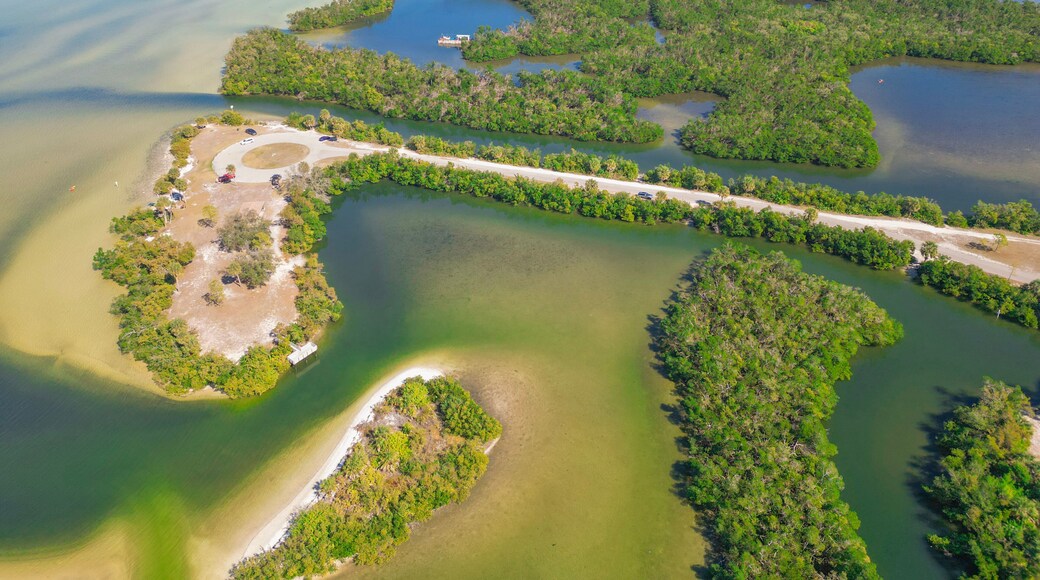 E.G. Simmons Park of Tampa Bay