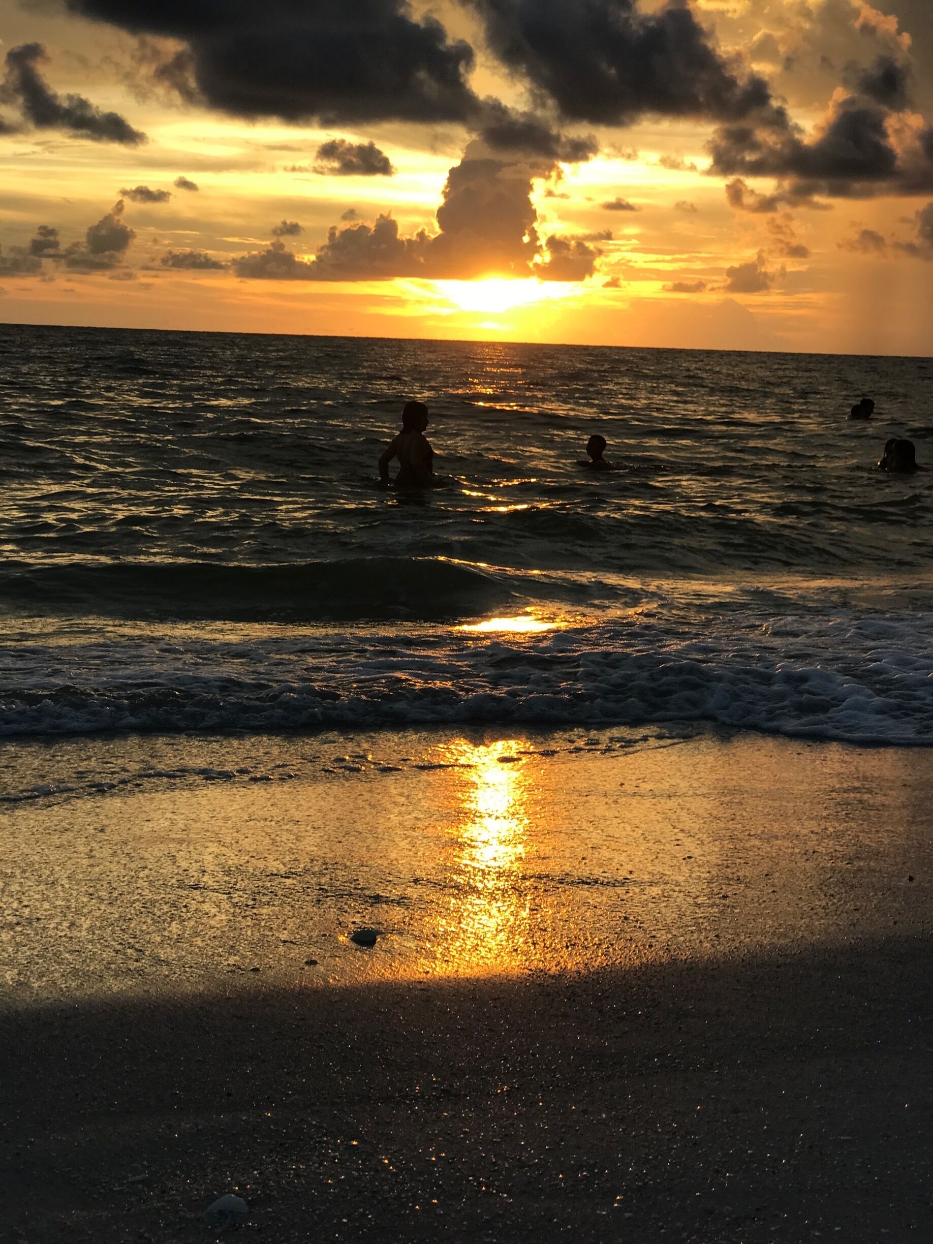 Nokomis beach! Found lots of sharks teeth.
