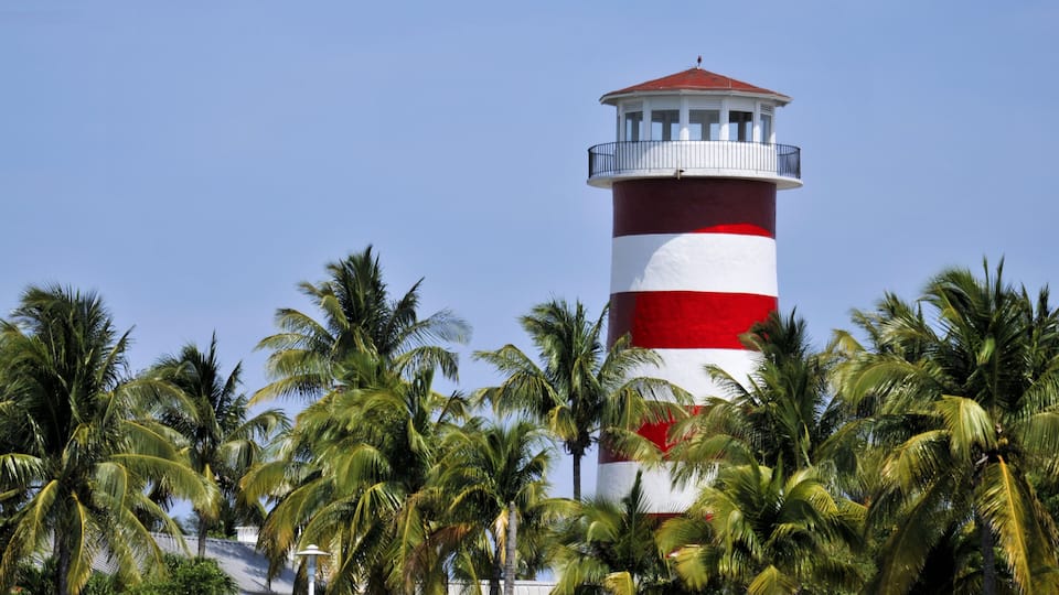 A red and white lighthouse surrounded by palm trees.