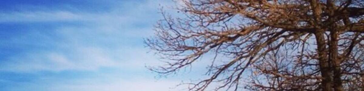 Konza Prairie Kansas 2015