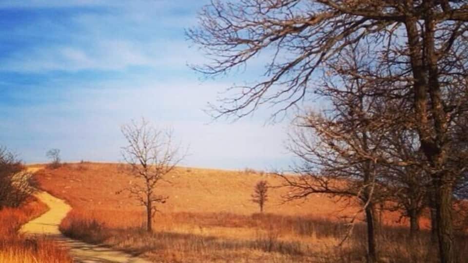 A dirt path winding through a dry, grassy landscape with leafless trees and a clear blue sky.