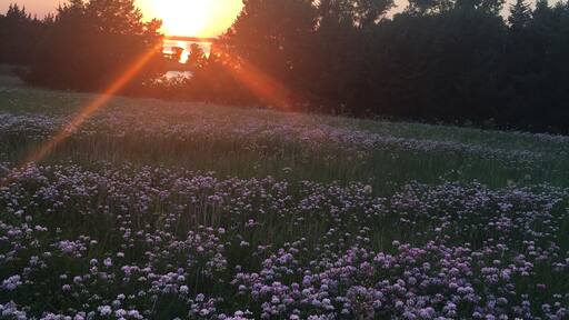 Countryside view in Kansas
#summervacation2017