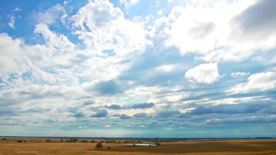 A vast open field under a partly cloudy sky.