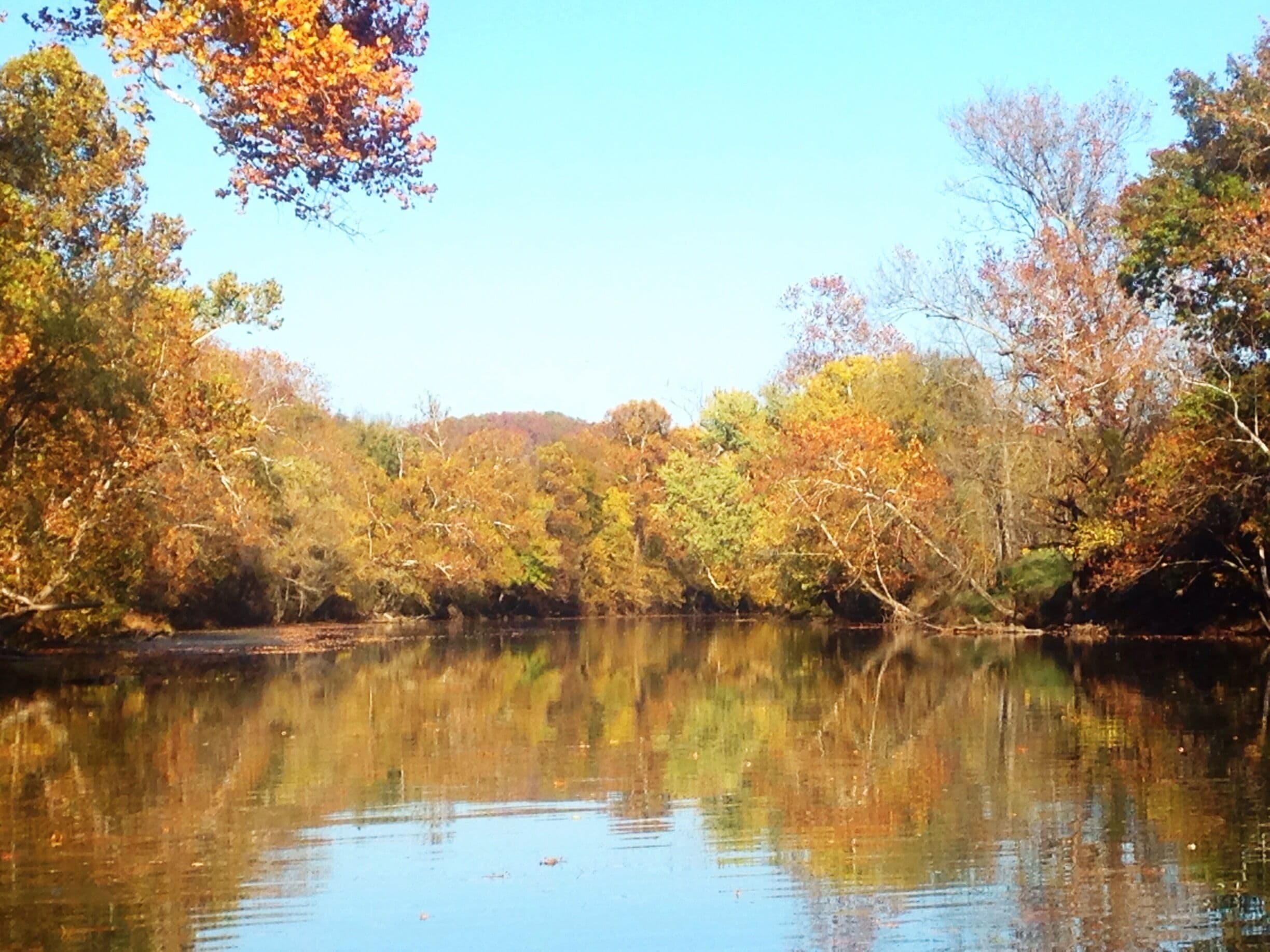 Autumn colors in the Ozarks on the Niangua River aboard my canoe. 