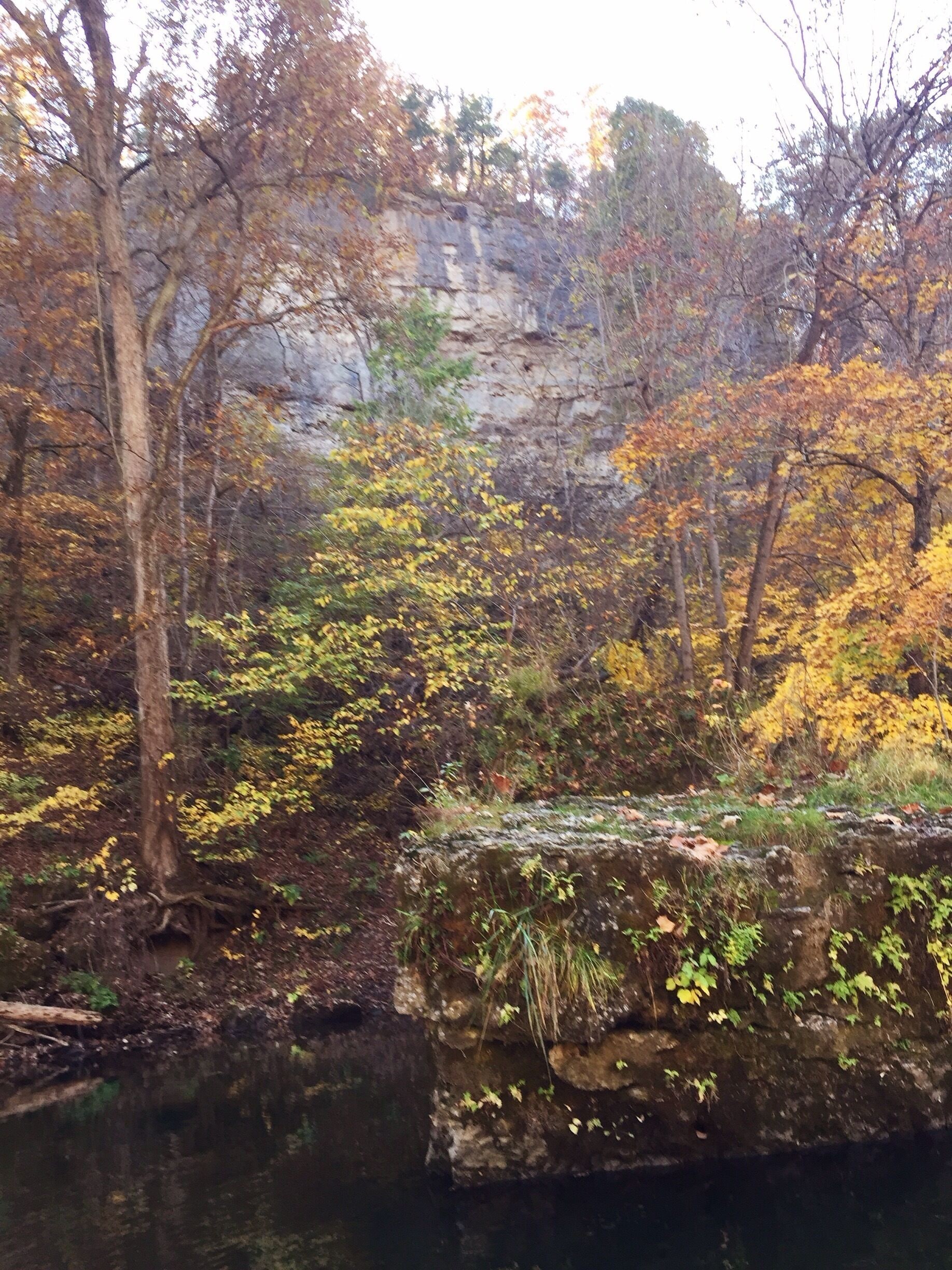 Autumn colors in the Ozarks. The huge moss covered rock in the foreground came from above many many years ago. It now rests in The Niangua River