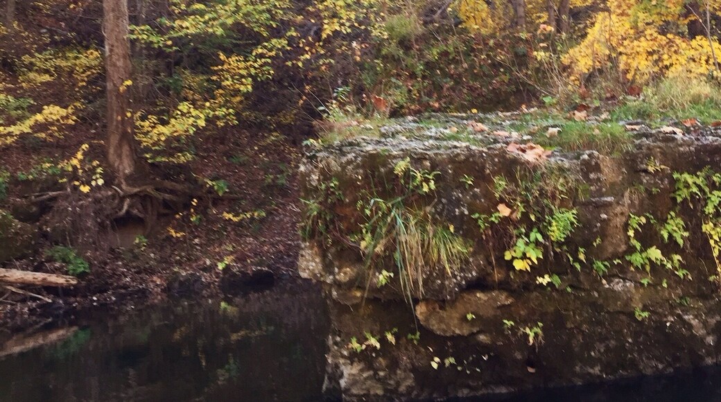 Autumn colors in the Ozarks. The huge moss covered rock in the foreground came from above many many years ago. It now rests in The Niangua River