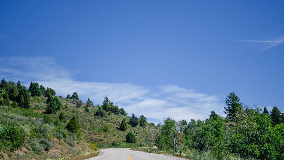 Forestry in Hwy 36 scenic driveway to Montpelier, Idaho