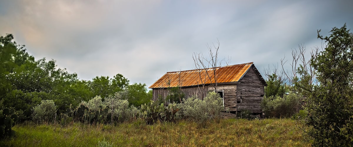 A rustic wooden barn with a rusted roof surrounded by dense vegetation and trees.