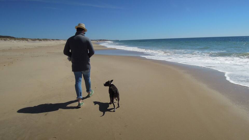 Just south off of the main drag in Montauk, perfect beach.