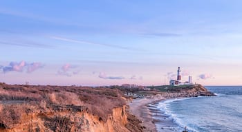 A coastal landscape with a lighthouse, grassy dunes, and a rocky shoreline.