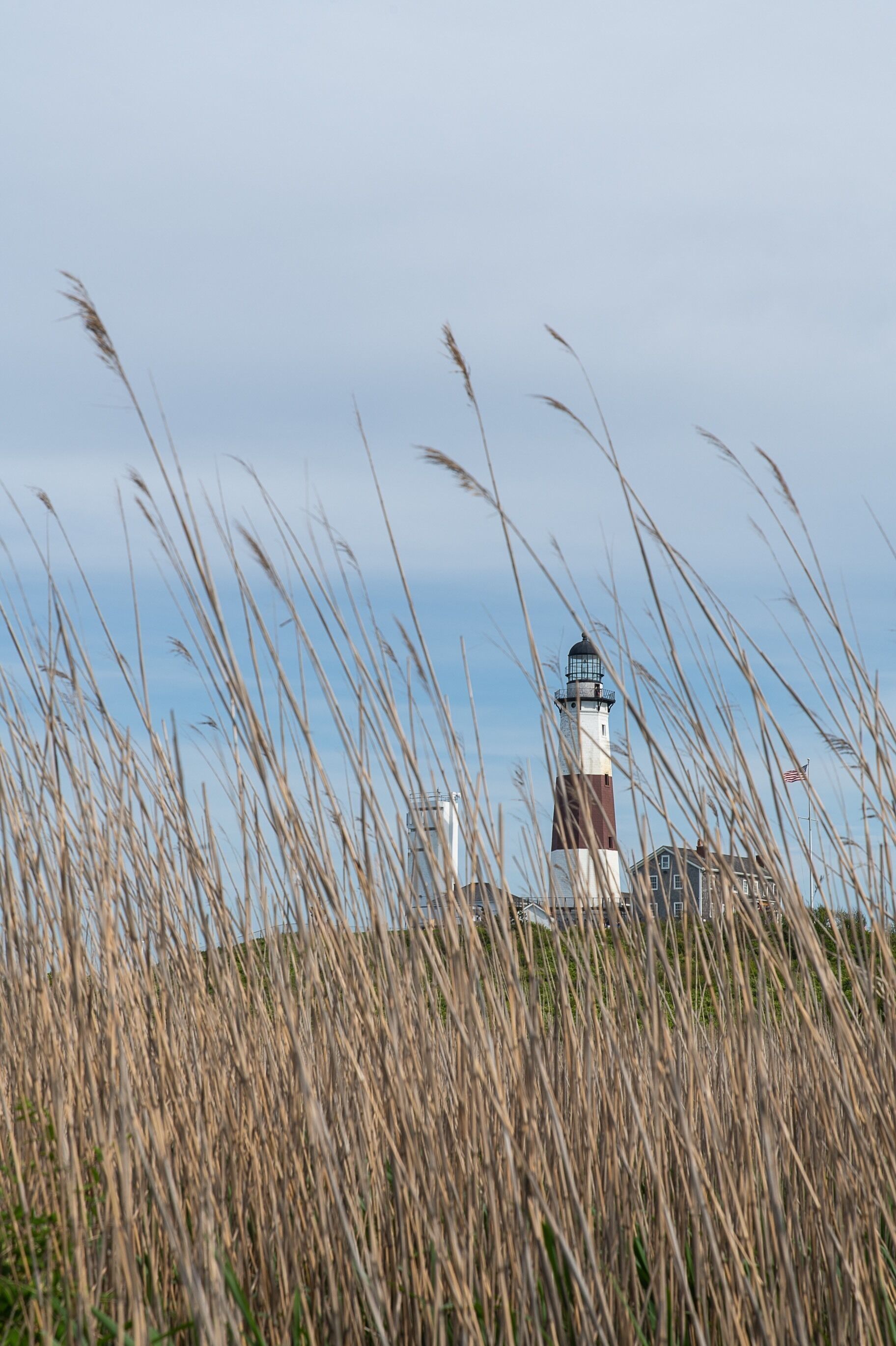 View through the reeds of Montauk Lighthouse. A few paths and trails to explore around this location.