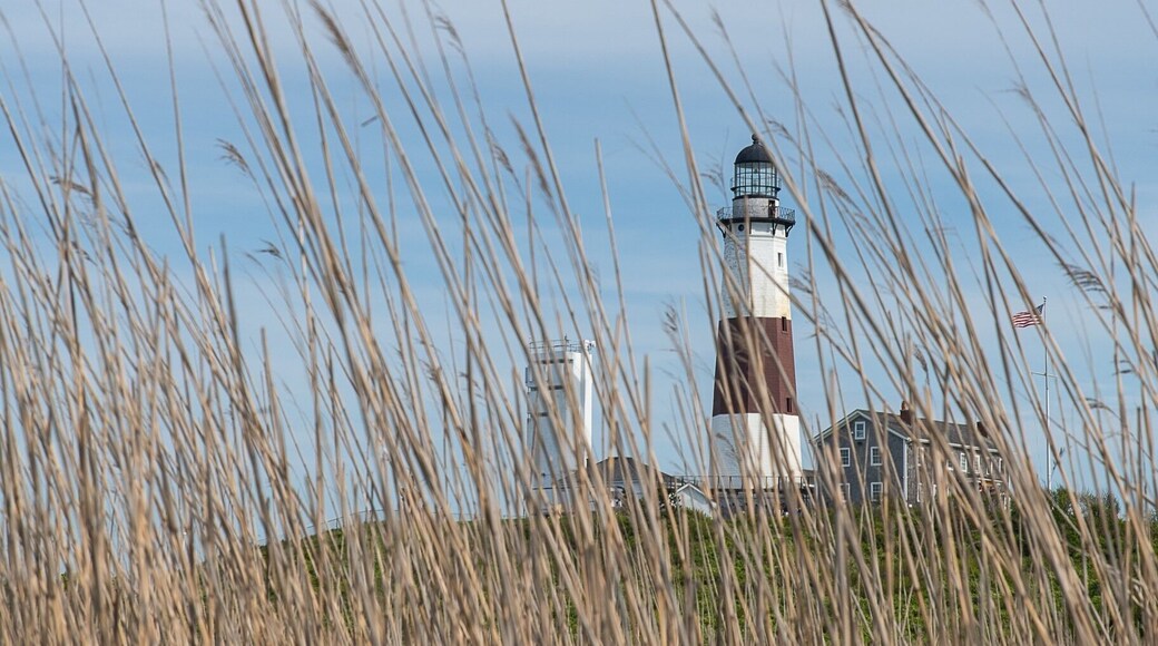 View through the reeds of Montauk Lighthouse. A few paths and trails to explore around this location.