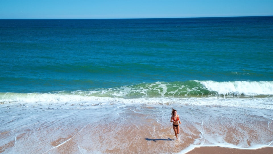 A beach with waves and a person running.