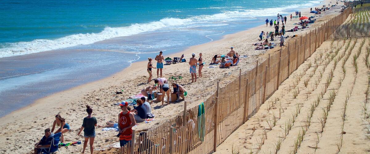 Montauk showing general coastal views and a sandy beach as well as a small group of people