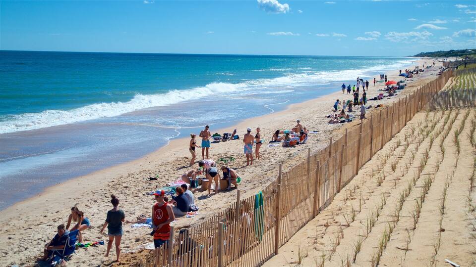 Montauk showing general coastal views and a sandy beach as well as a small group of people