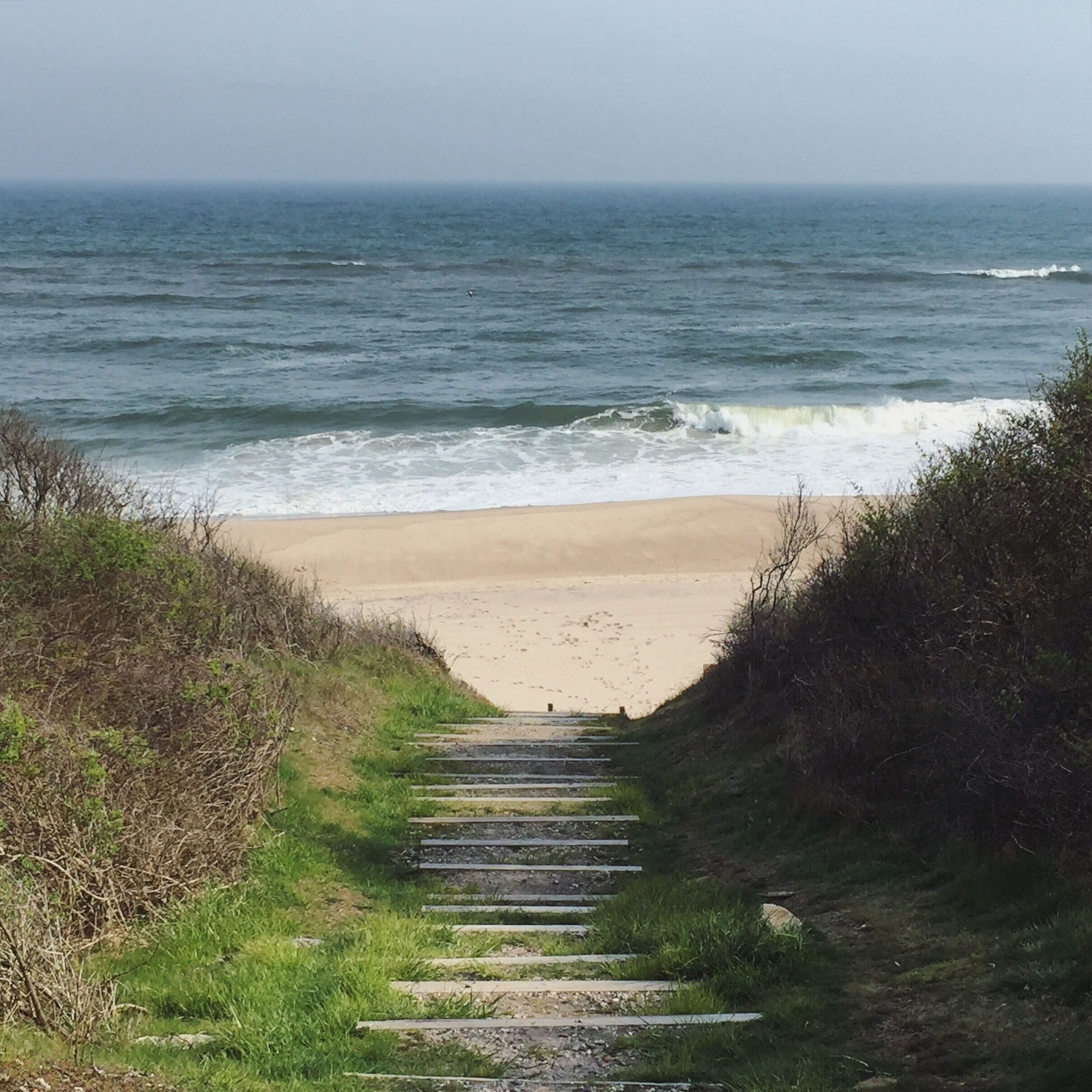 A pathway leading to a beach with the ocean in the background.