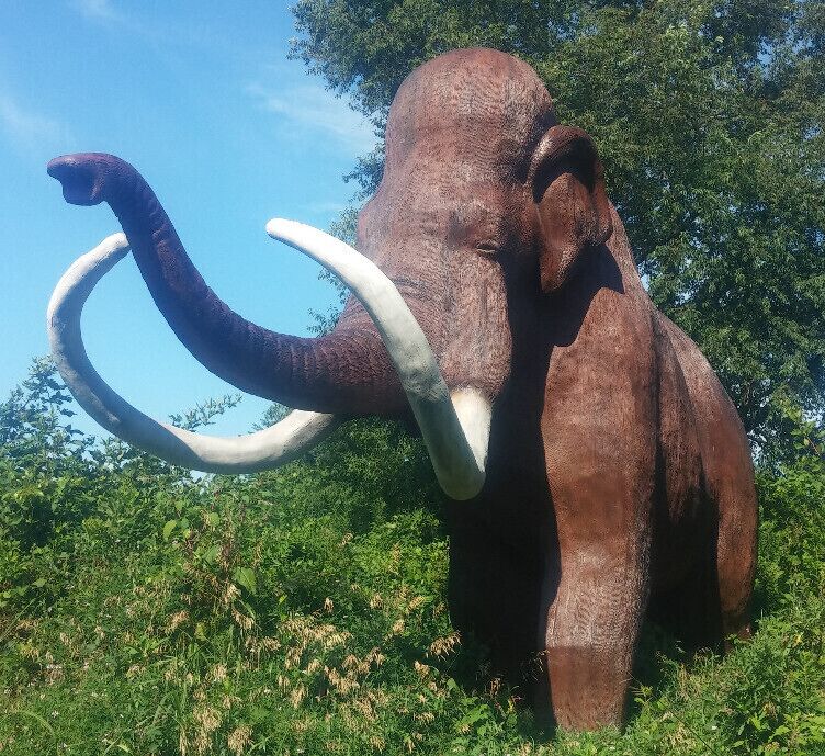 The wooly mammoth, the only mammal on display at Dinosaur World, actually existed millions of years after the dinosaurs had gone extinct.