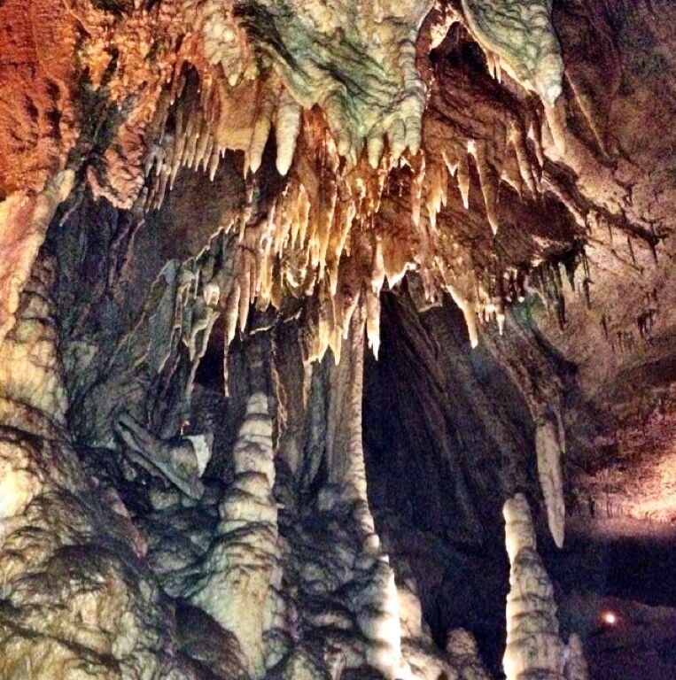 Near the end of the new entrance tour.  Get under your nation.  #nationalpark