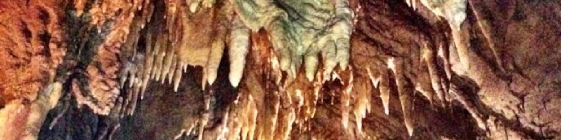 Near the end of the new entrance tour. Get under your nation. #nationalpark