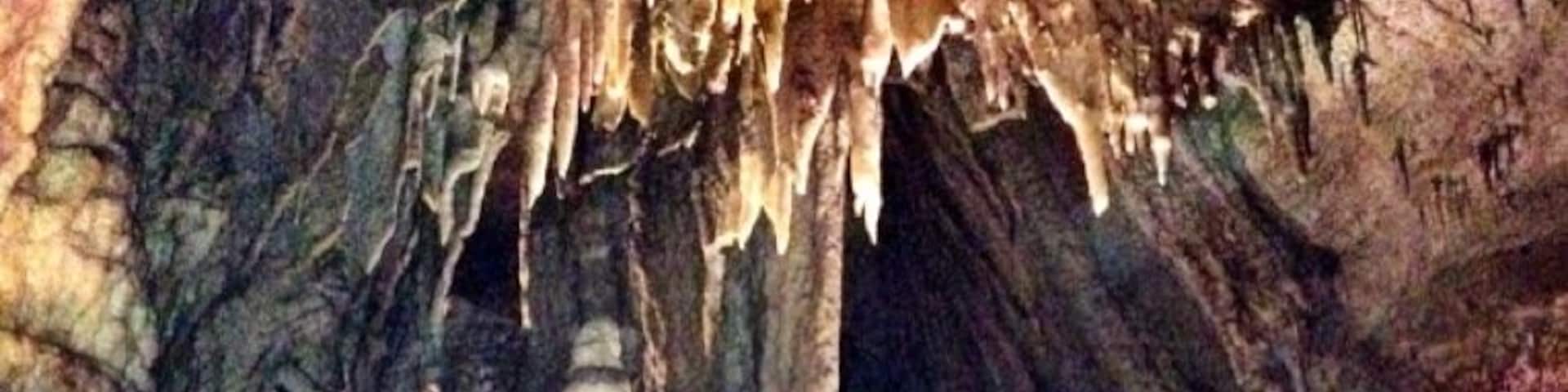 Near the end of the new entrance tour. Get under your nation. #nationalpark