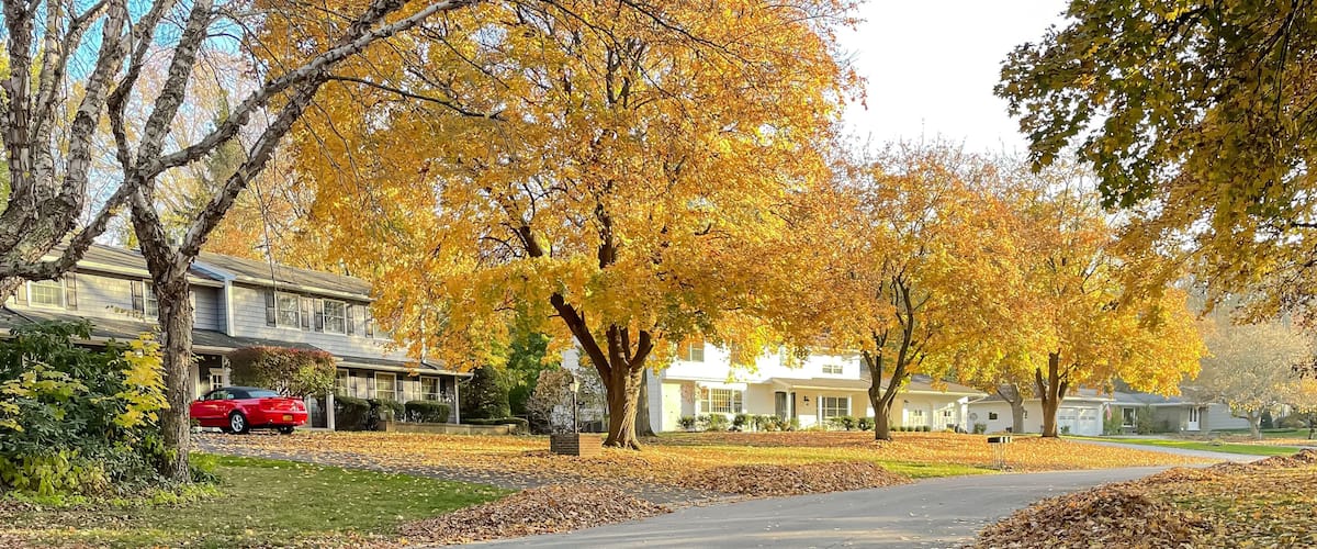 Panorama colorful residential street bright fall foliage, row of two-story houses, large pile maple leaves yellow ready for curbside leaf pickup service, Rochester, Upstate New York, US