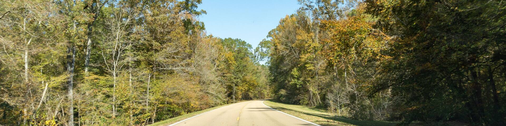 Natchez Trace Parkway a National Park Service scenic road and old route from Natchez, Mississippi to Cumberland River in Tennessee. No traffic on a road lined with autumn trees and fall foliage.