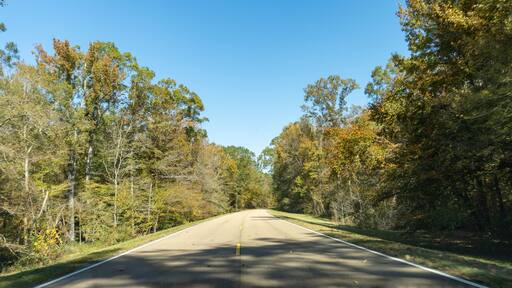 Natchez Trace Parkway a National Park Service scenic road and old route from Natchez, Mississippi to Cumberland River in Tennessee. No traffic on a road lined with autumn trees and fall foliage.