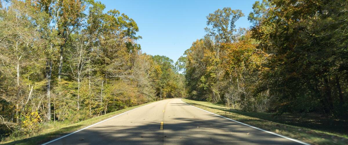 A two-lane road flanked by trees with autumn foliage, leading into a forested area.