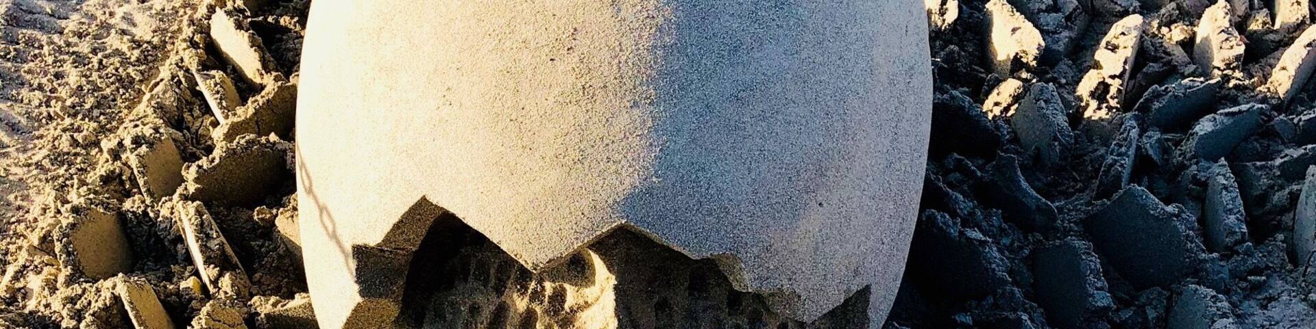 Let’s play in the sand at Parksville, BC. Sand sculpture contest is happening and the sculptures are just fantastic.