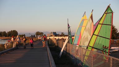 Parksville which includes a sunset and sailing