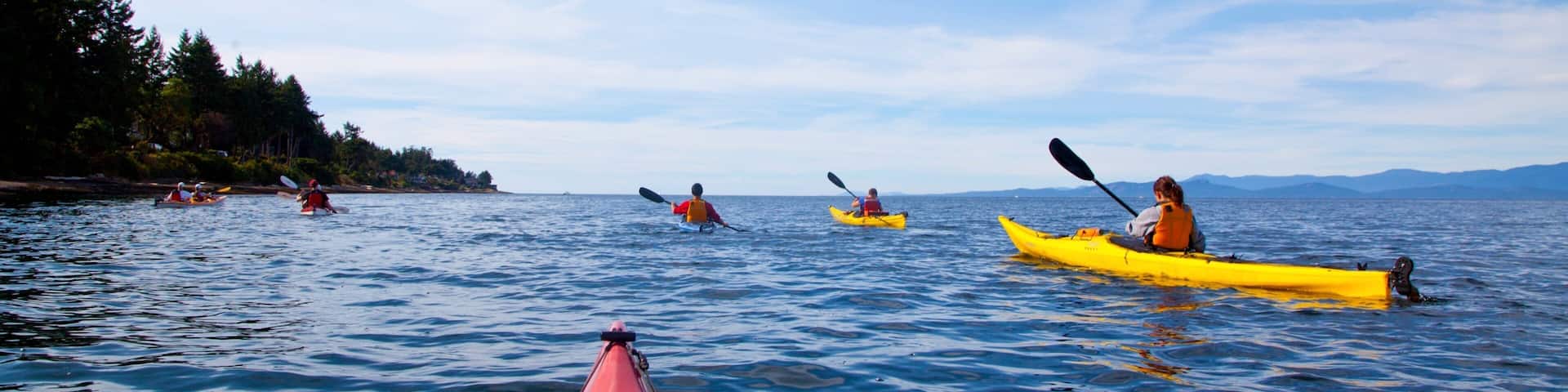 パークスヴィル どの含み カヤックあるいはカヌー と 海岸線の眺め