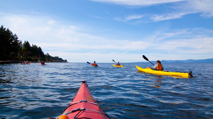 Parksville which includes kayaking or canoeing and general coastal views