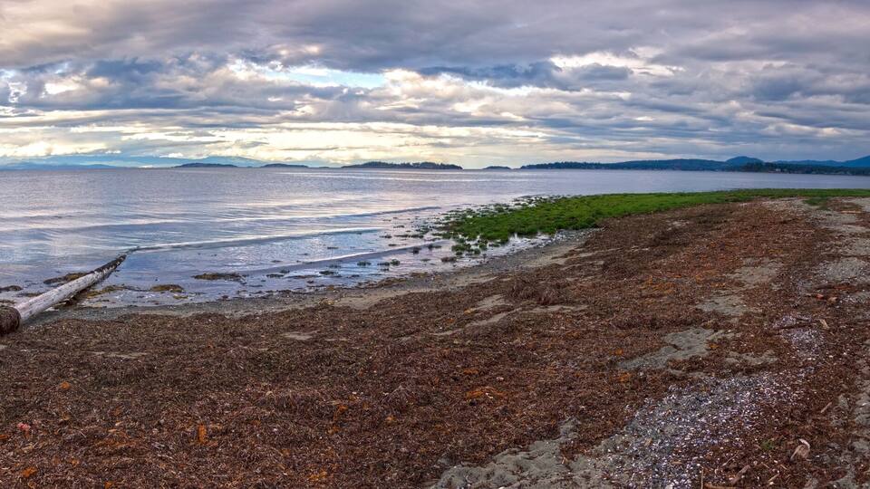A coastal landscape with a large body of water, a grassy area, and distant mountains under a cloudy sky.