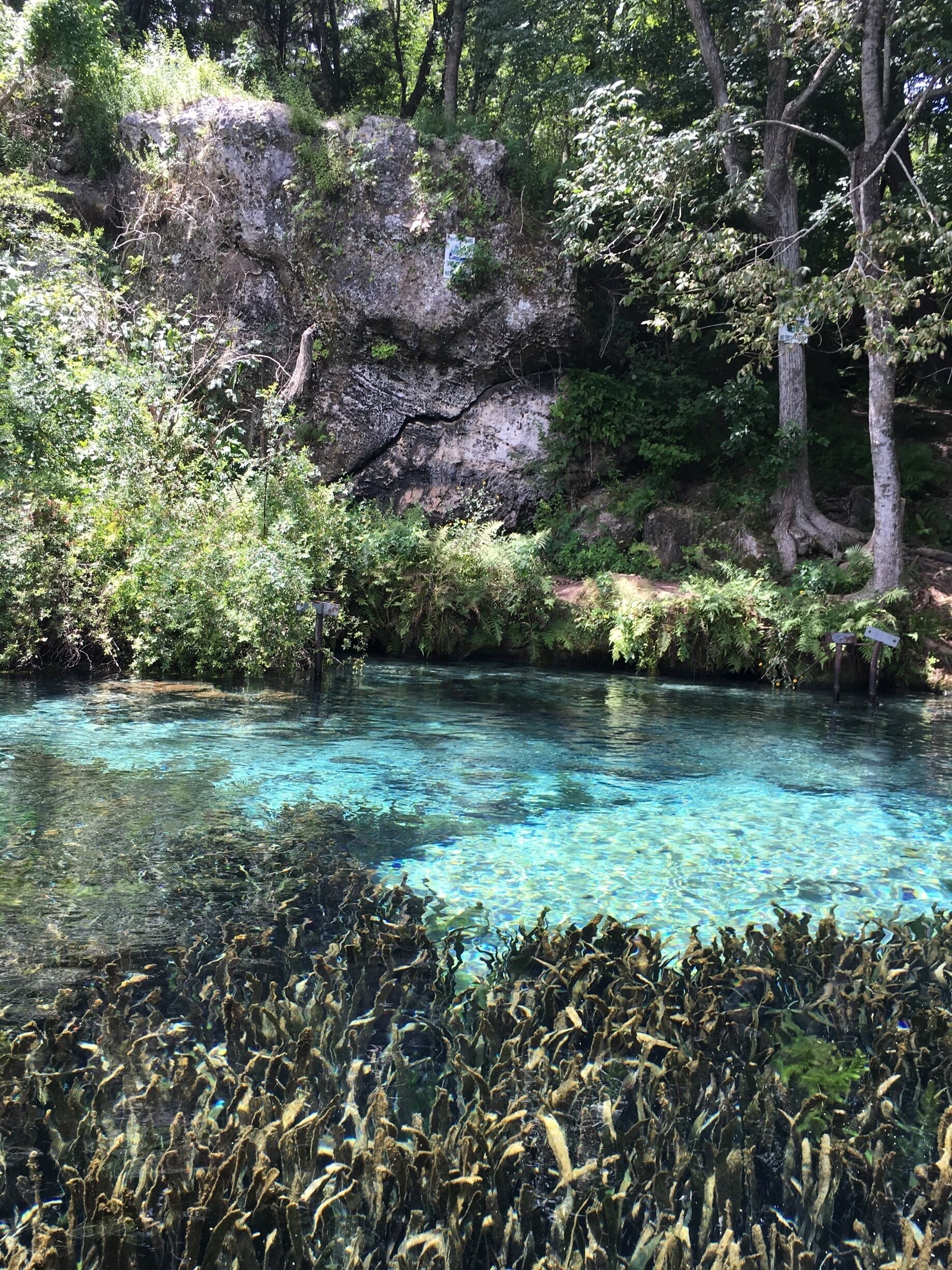 Cliffs, caves and canoeing at Jackson County Blue Springs. 