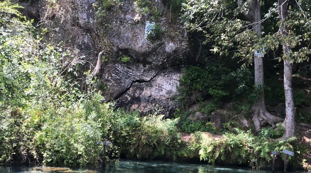 Cliffs, caves and canoeing at Jackson County Blue Springs.