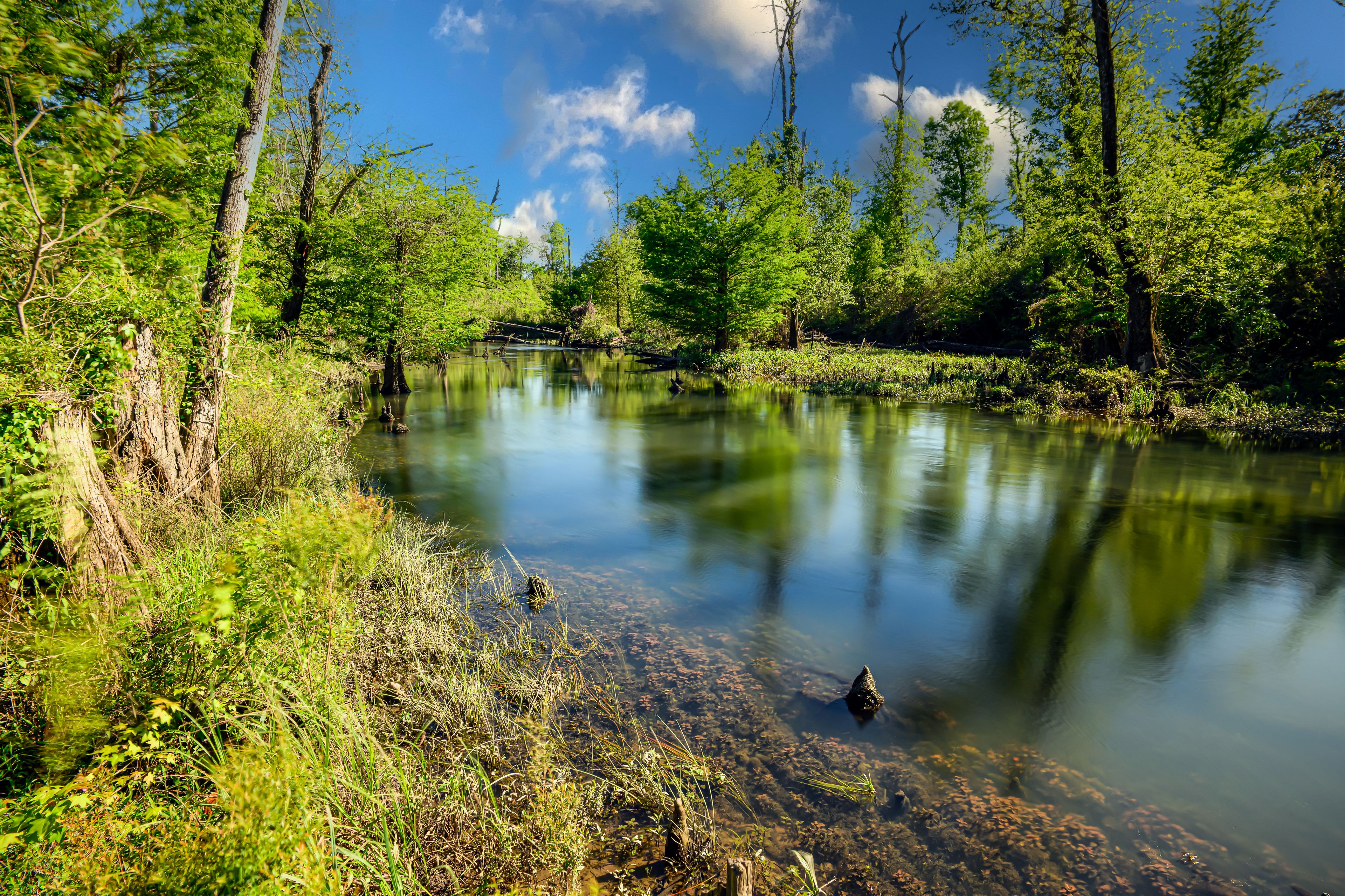 "Nature's Symphony: Blue Hole Springs at Florida Caverns State Park, where still waters reflect the lush green foliage under a canvas of clouds and a vast blue sky."