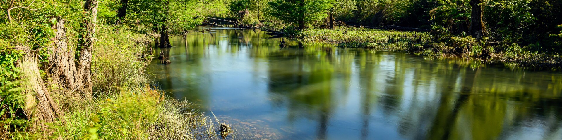 "Nature's Symphony: Blue Hole Springs at Florida Caverns State Park, where still waters reflect the lush green foliage under a canvas of clouds and a vast blue sky."