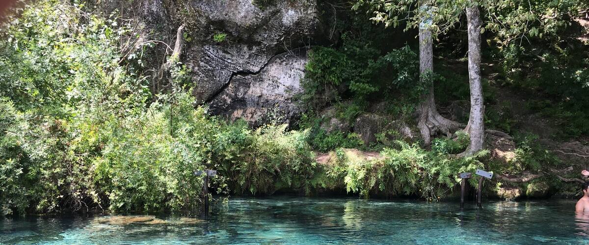 Another spring boil on the north side of the mill pond.