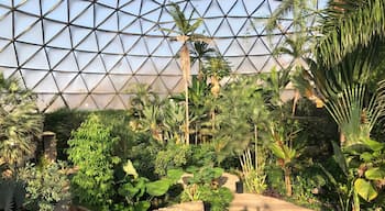 ์บํผํจ ํํฌ