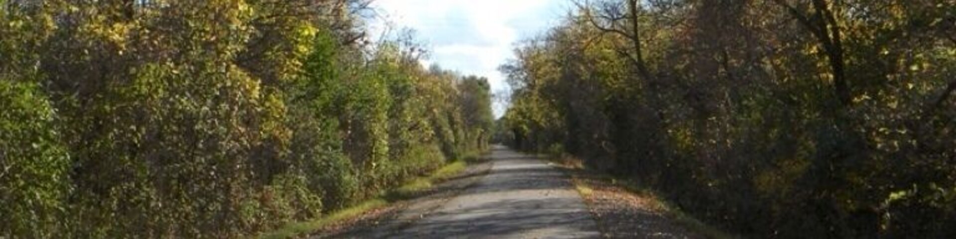 Great Western Trail. Lovely and mostly flat. Connects to other trails in the greater DSM area. Ride it to work when the weather's good.